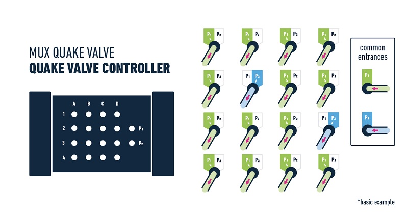 XX_MUX-Quake-valve-Without-text-elveflow-microfluidics.jpg